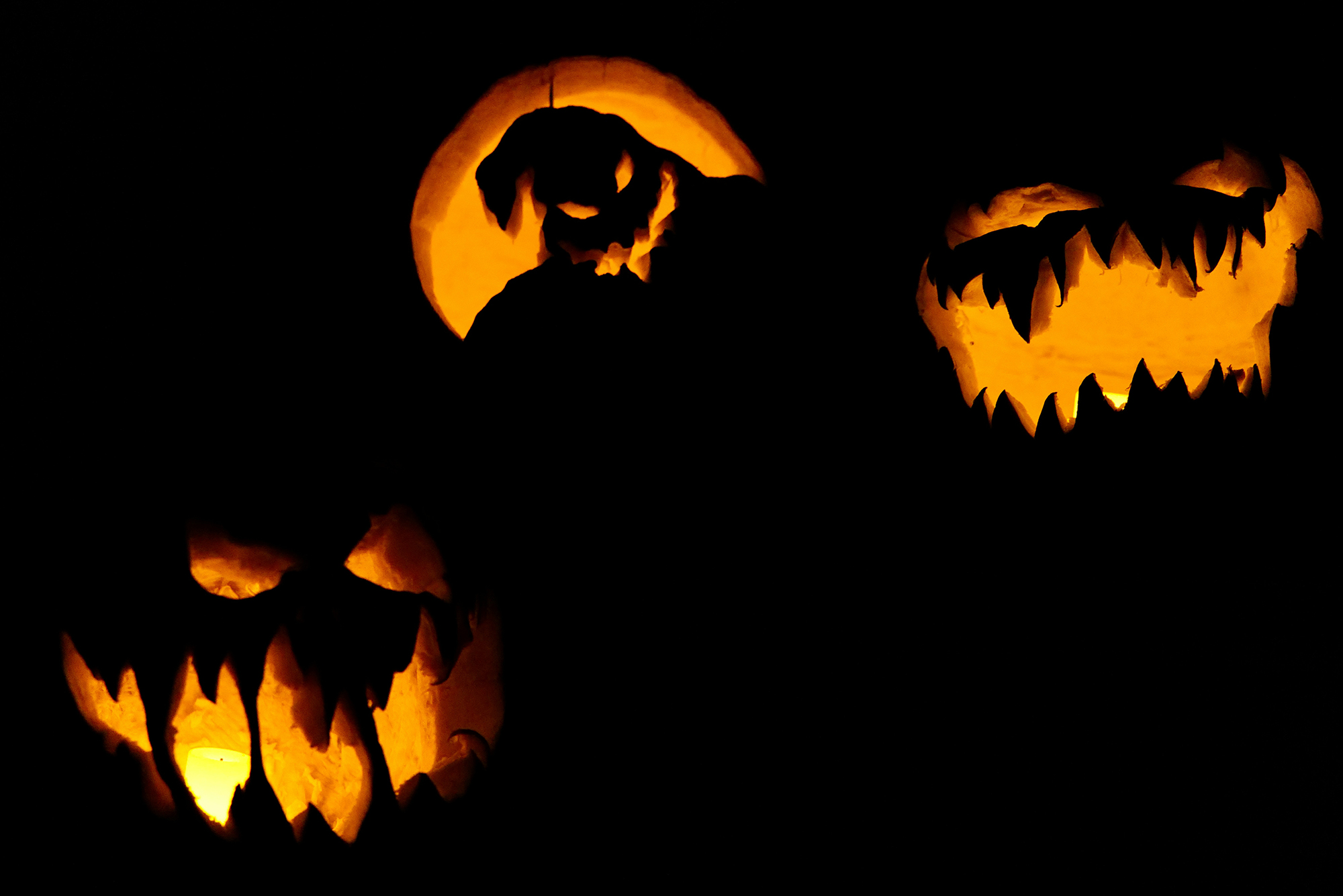 Photo: Three carved pumpkins with lights inside of them