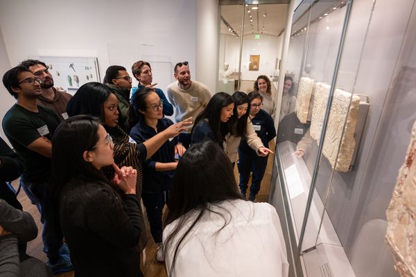 Photo: Medical residents from Boston Medical Center in front of an exhbit showcasing an ancient tomb display at the Harvard Art Museums