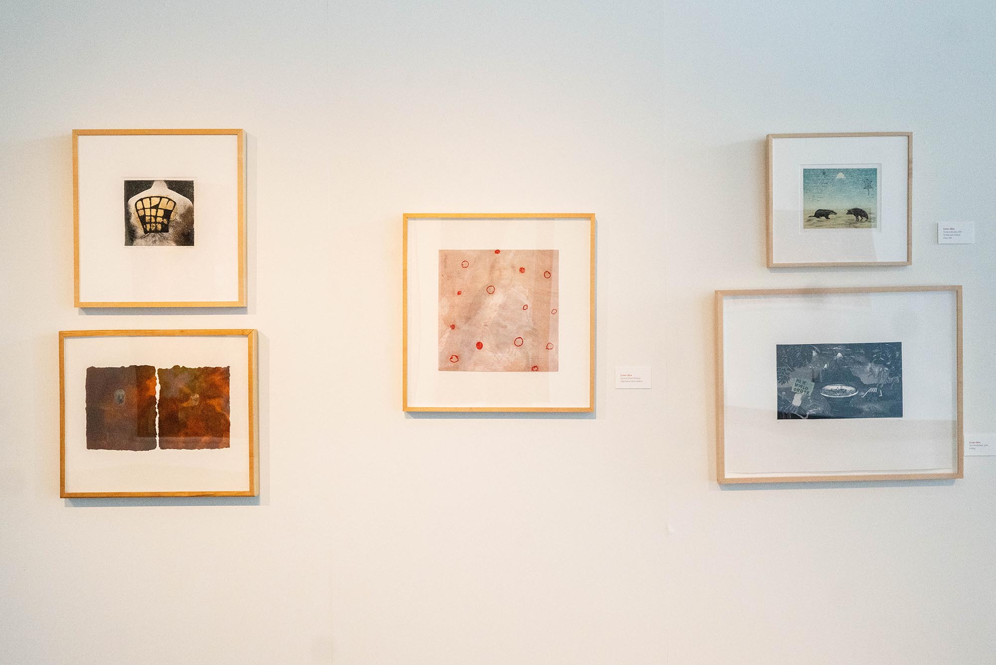 Photo: Five frames on a wall at an art gallery.