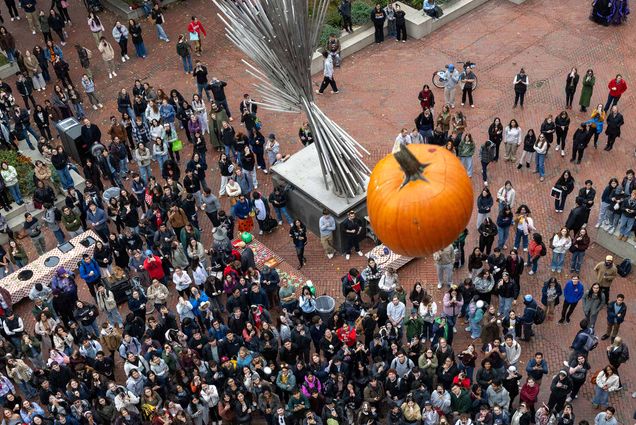 photo: a large crowd gathers to watch a pumpkin be dropped from a height