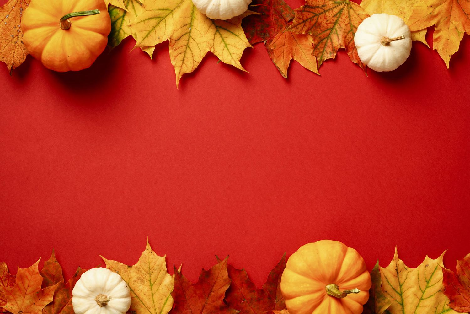 Photo: A red background with leaves and pumpkins surrounding the border