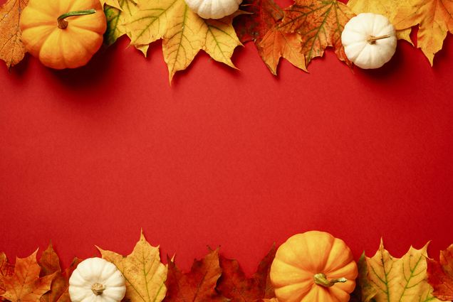 Photo: A red background with leaves and pumpkins surrounding the border