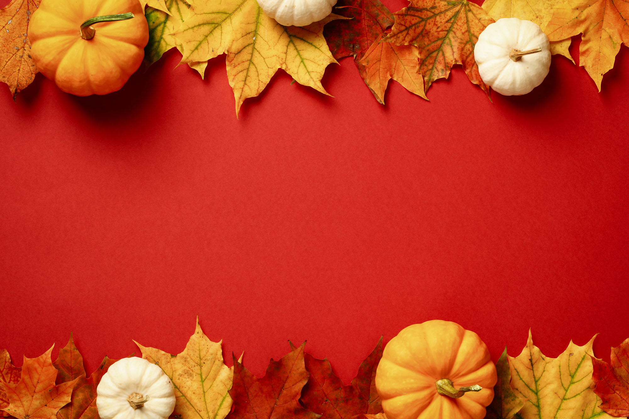 Photo: A red background with leaves and pumpkins surrounding the border