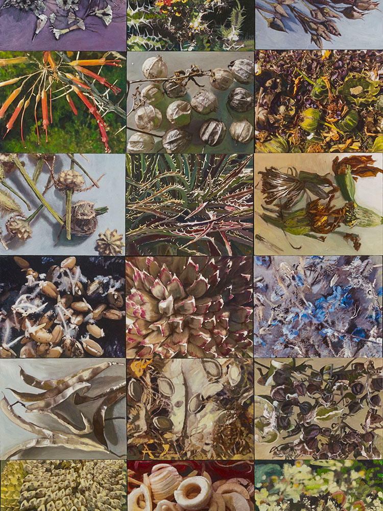 Collage of various plants and seeds