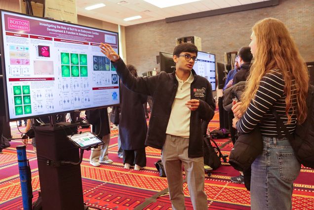Photo: A male BU student standing in front of a board presenting their research. The board reads "Investigating the Role of Bcl11b on Embryonic Cardiac Development & Function in Xenopus laevis"