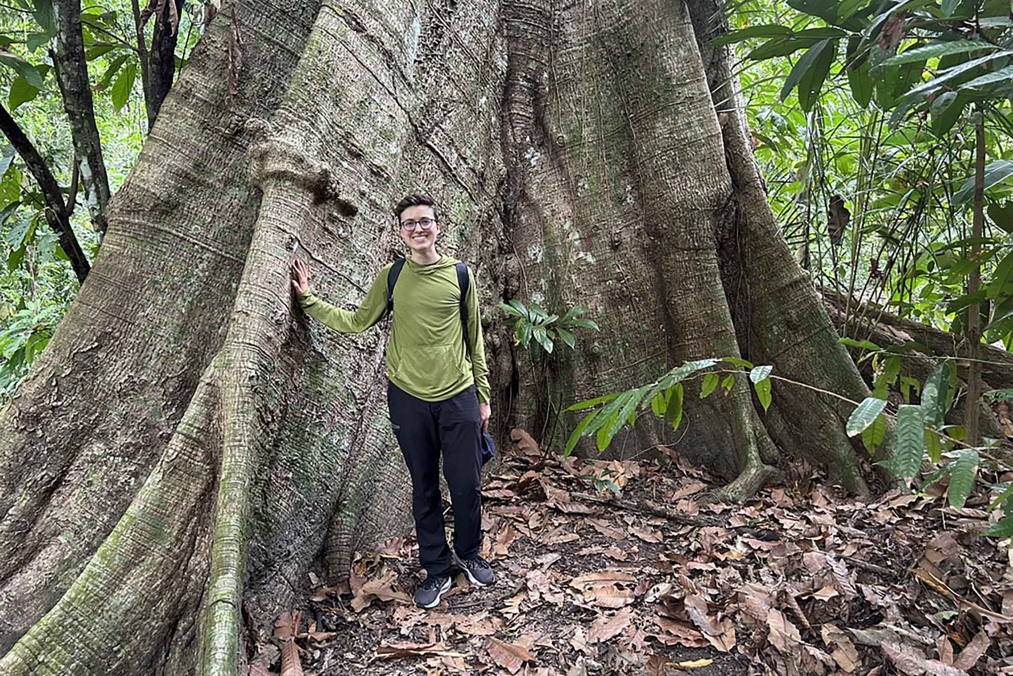 Photo: A person in a green zipup standing in front of the base of a large tree.