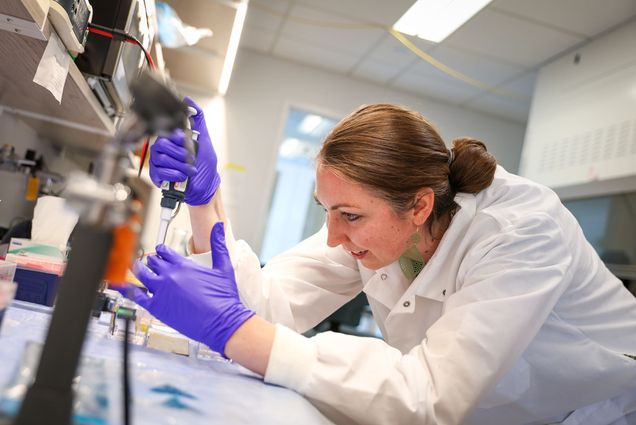 Photo: Local highschool teacher wearing blue gloves pipes liquid into vials in a lab