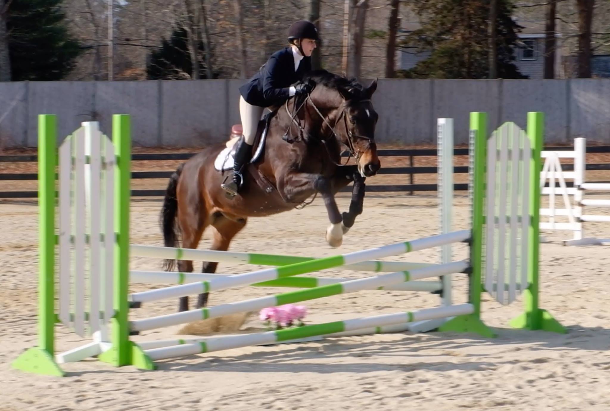 Equestrian