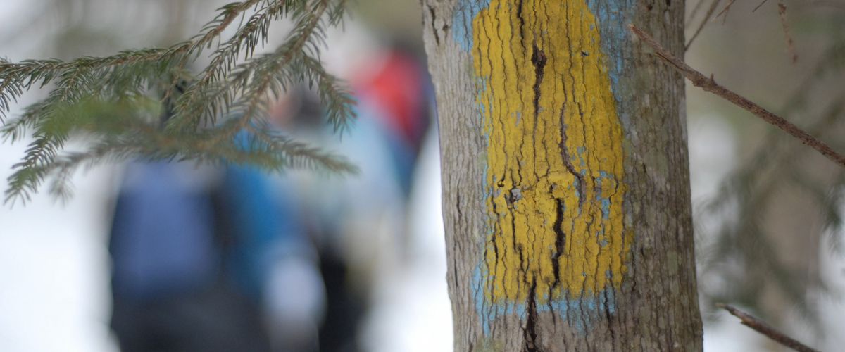 Trail marker on a snowy trail in the woods, blurred hikers in the background