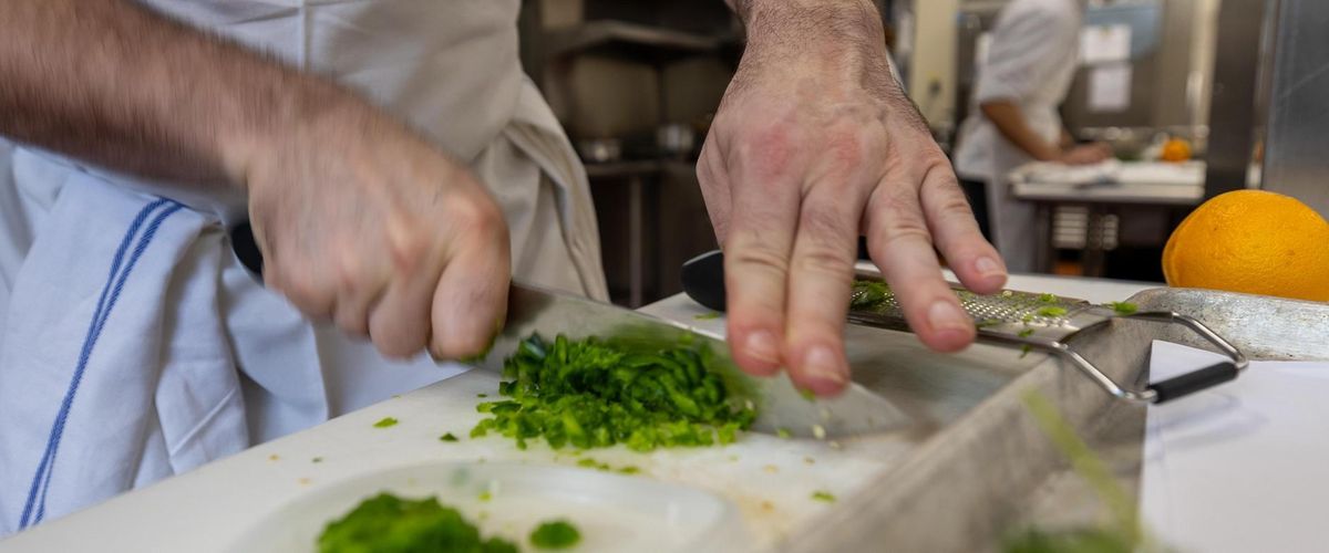 Contact Food Studies programs today.