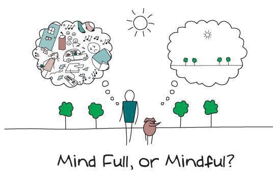 Center for Mindfulness & Compassion - Boston