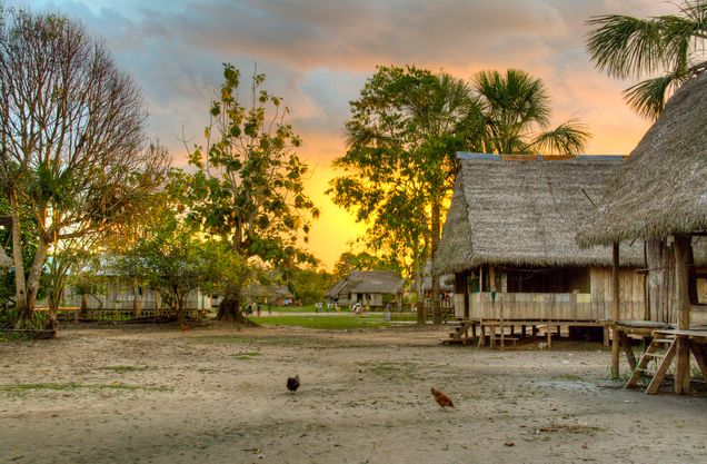 authentic village in the amazon rain forest near iquitos, peru