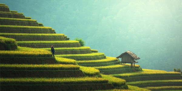 Land
