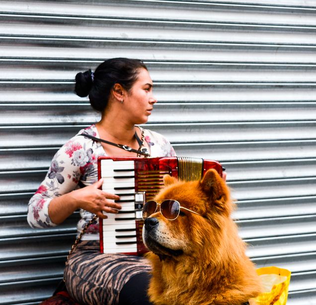 2018 GP Photo Contest Finalist woman playing the acordian with a dog wearing sunglasses