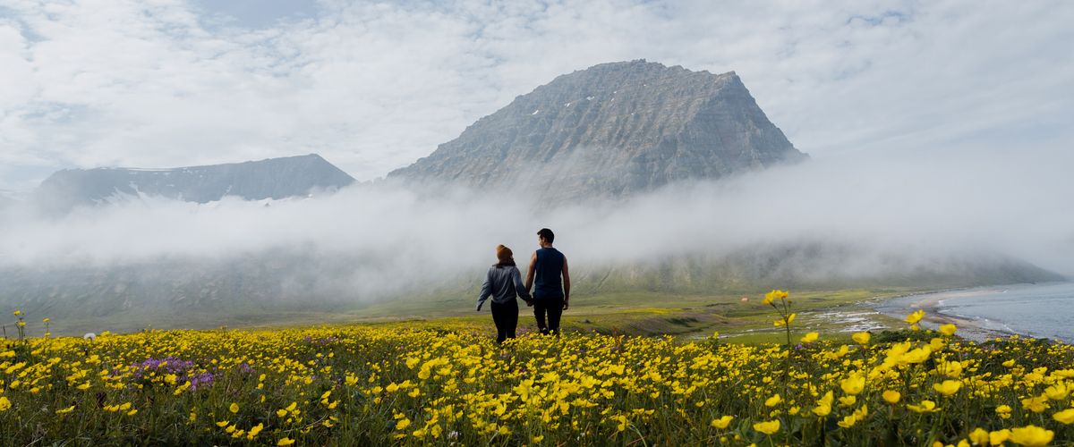 2022 GP Photo Contest judged winner couple walking in a field with yellow flowers