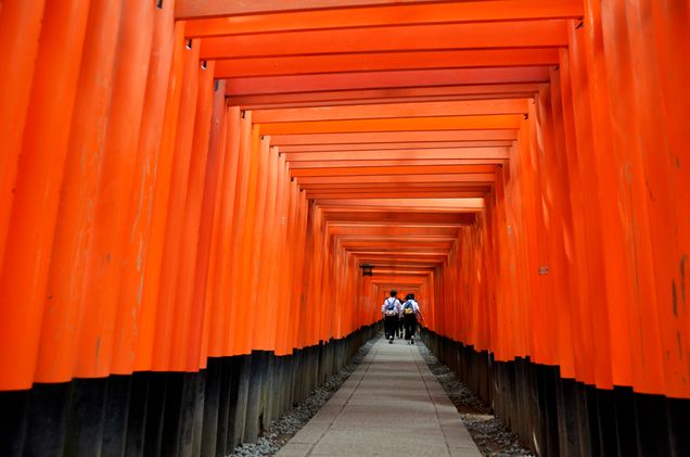 2016 GP Photo Contest Finalist orange gates in Japan
