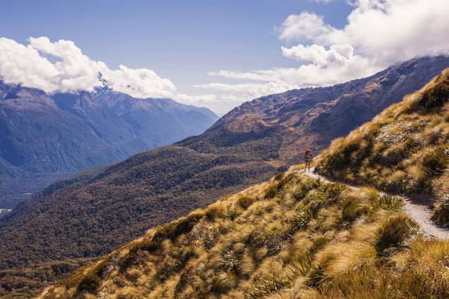 2015 GP Photo Contest Finalist single person hicking on a narow trail through the mountains in new zealand