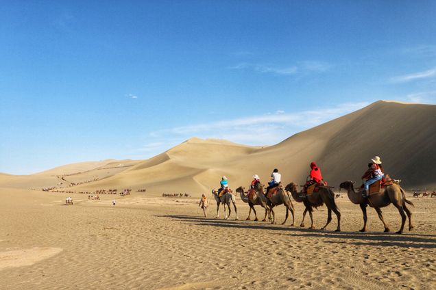 2018 GP Photo Contest Finalist people riding camels in a row in the desert