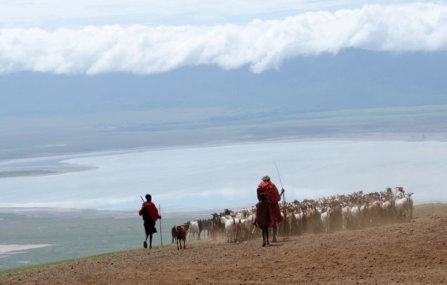 2016 GP Photo Contest Finalist two goat hearders with thier flock in Tanzania
