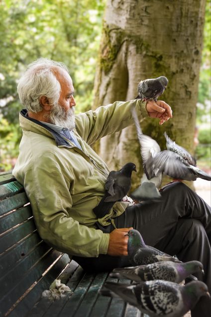 MAn citing on a bench in in Brussels with pigeons on his lap, arm and the bench around him. 2026 GP Photo Contest finalist.