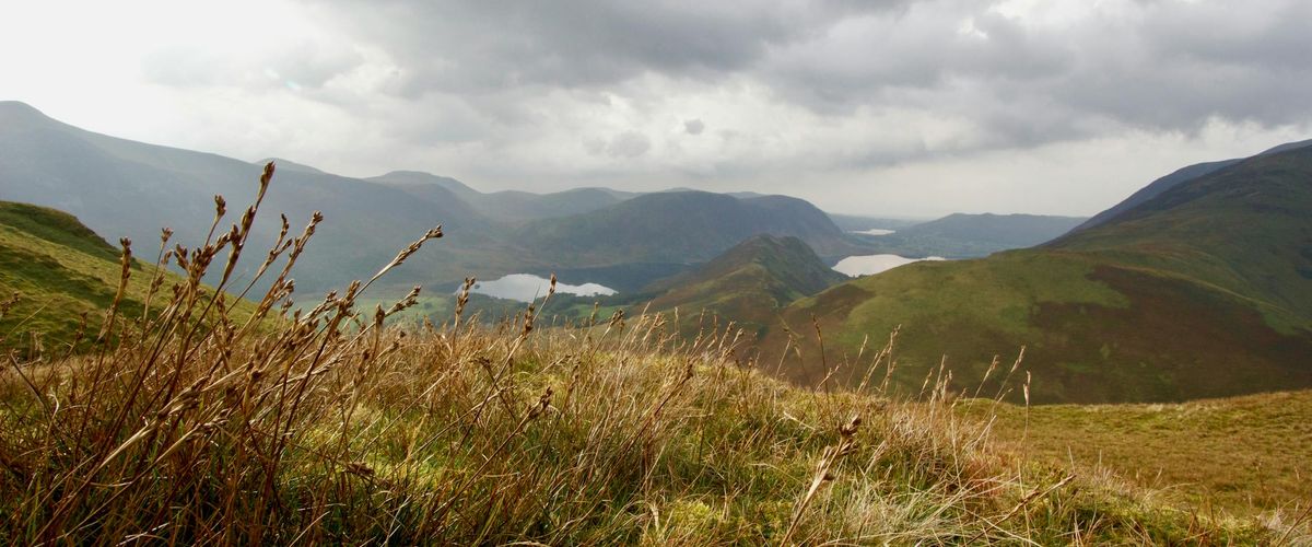 Long grasses blow against a backdrop of rolling green hills and lakes.