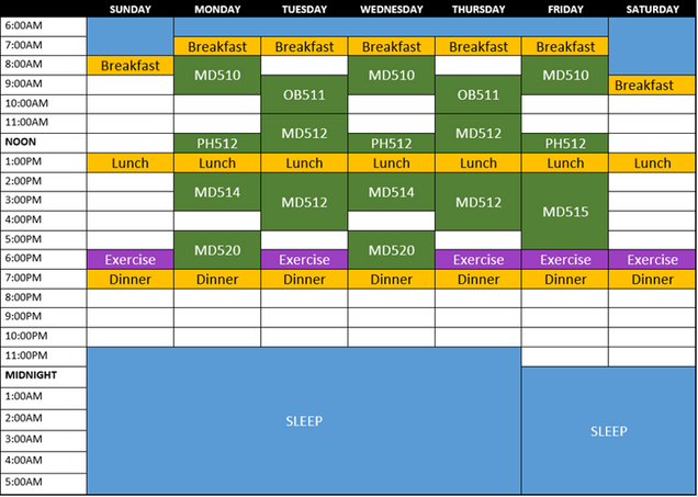 Example of adding wellness-related activities to your 24 Hour Schedule