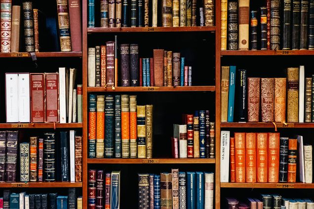 bookshelf with old books