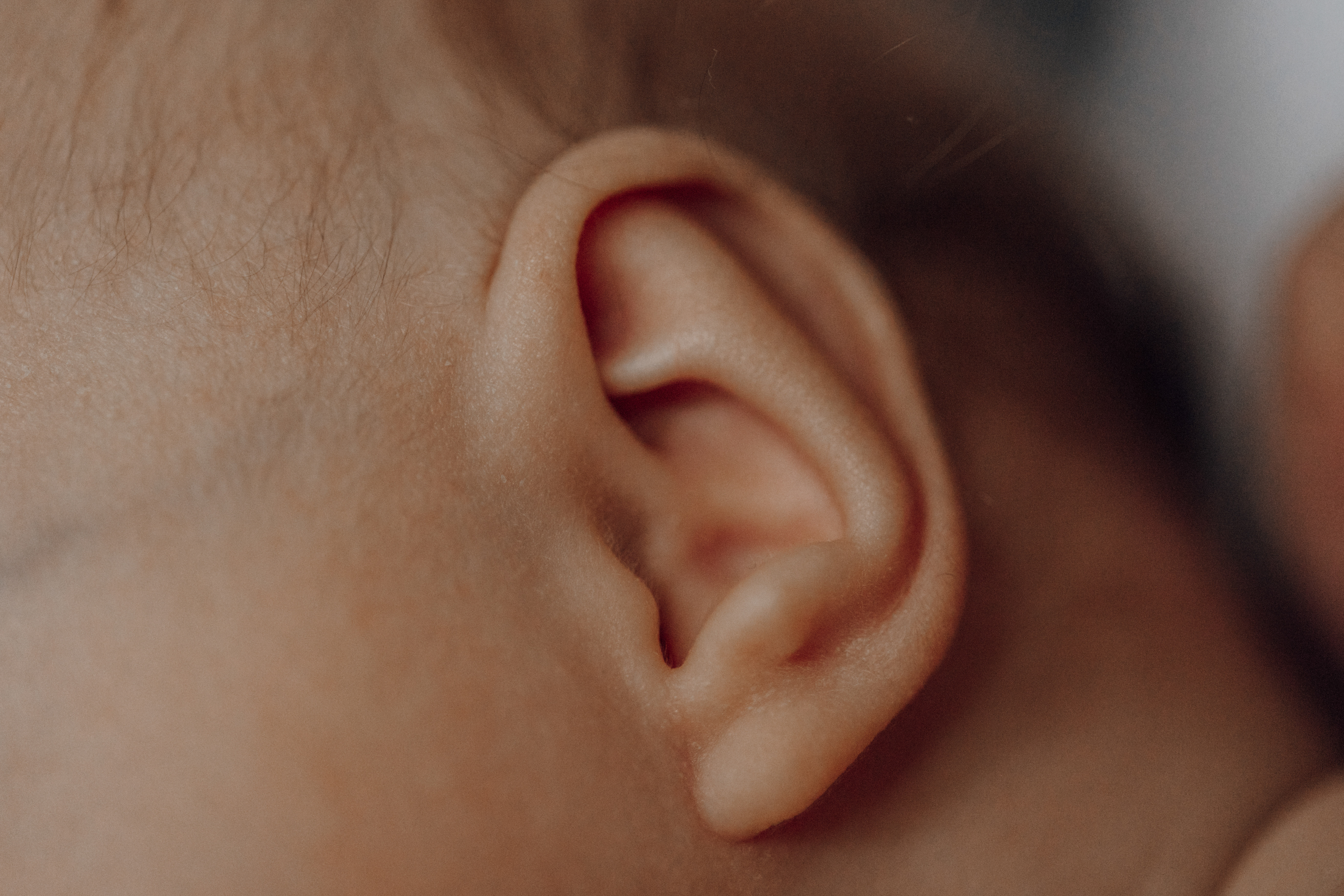 infant's ear