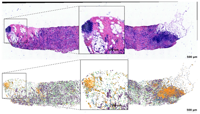 biology cell map