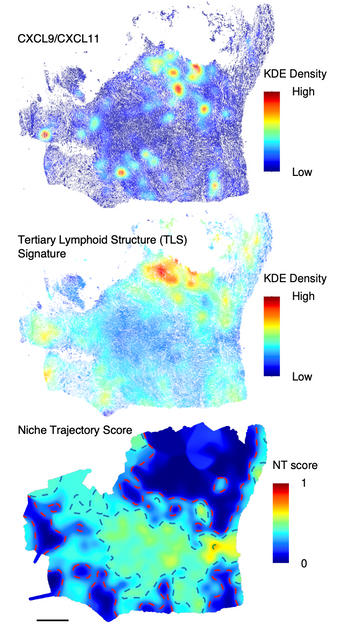 three graphics showing spatial data results