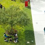 Photo: A patch of grass on BU's campus, photographed from above