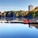 Photo: A view of boats docked at Jamaica Pond, with trees lining the sides and a building in the distance