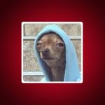 Meme: A small dog wearing a light blue hooded sweatshirt stands in front of a textured stone wall with metal bars, framed by a white border and a dark red background.