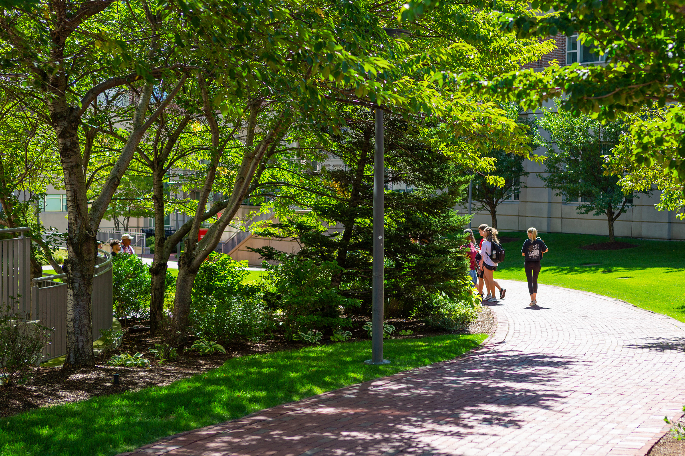 students on campus