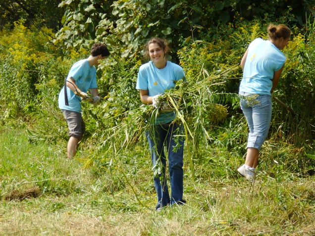 Students in grass