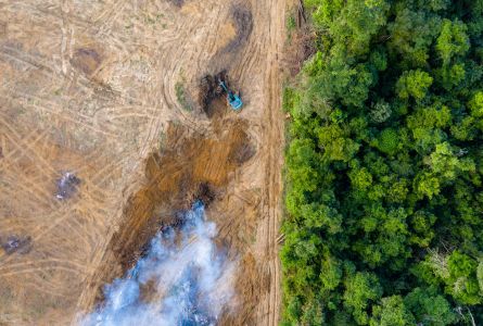 Aerial view of deforestation. Rainforest being removed to make way for palm oil and rubber plantations