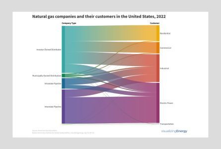 Natural gas companies and their customers in the United States, 2022