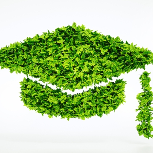 A graduation cap comprised of leaves