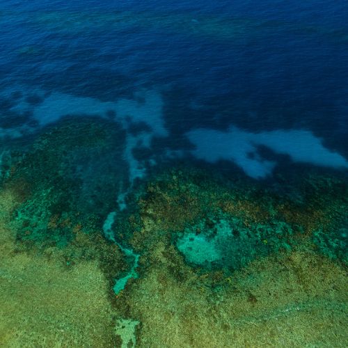 Birds-eye view of coral reef in the ocean