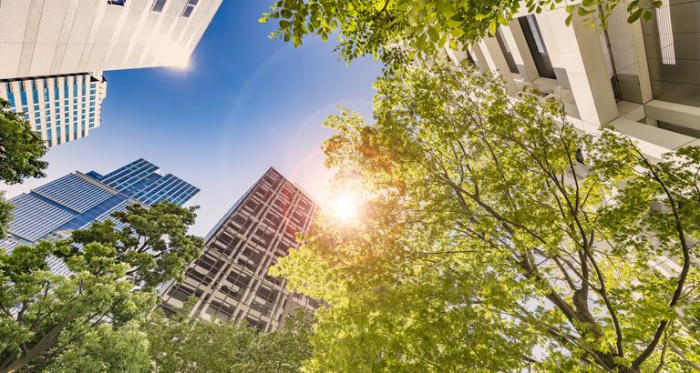 Worms-eye view of skyscrapers, trees, and sunlight.