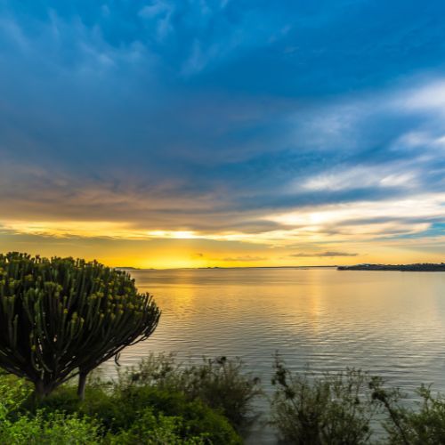 Lake Victoria at sunset