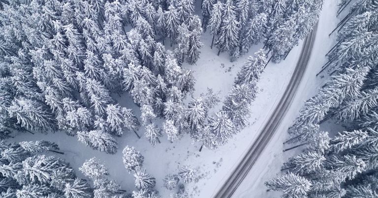 Road curves through snowy trees.