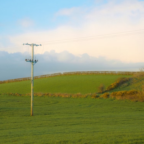 Power lines in rural field area.