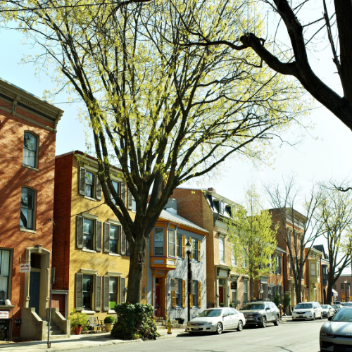 A serene street scene in Frederick, Maryland