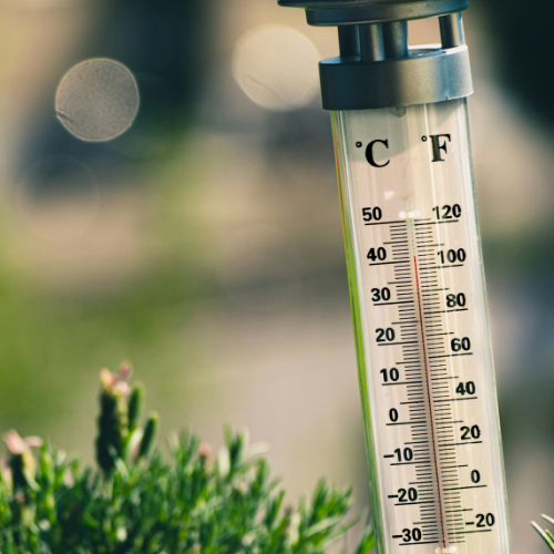 Thermometer