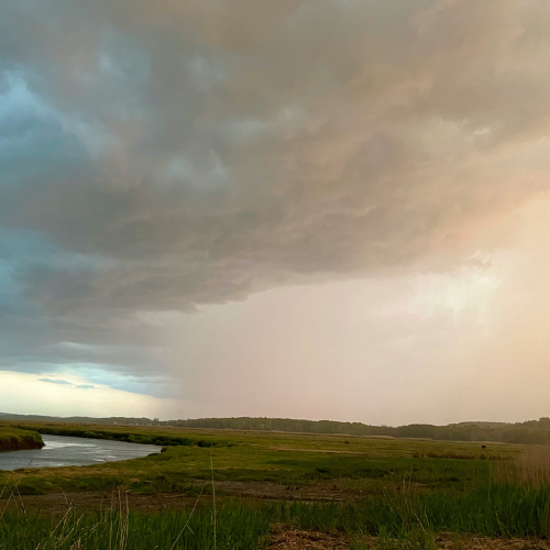 Tidal marsh in MA