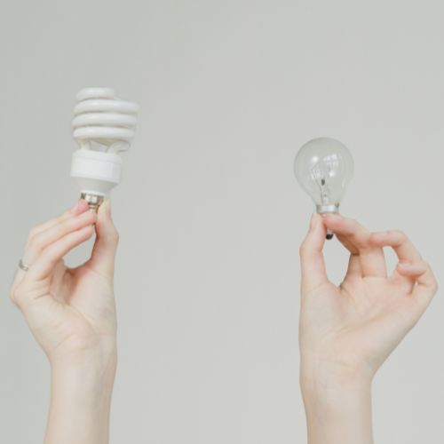 Two hands holding light bulbs.