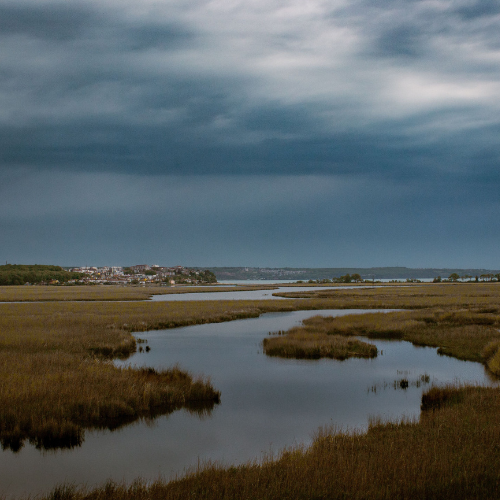 Coastal marsh