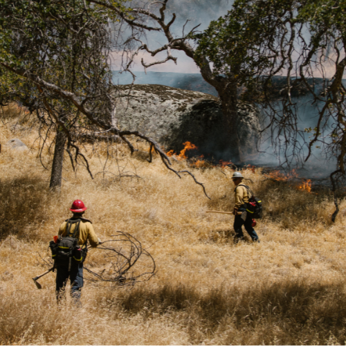 firefighters controlling a wildfire in California