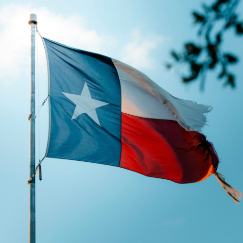 Texas flag